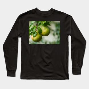 Ripe pears closeup Long Sleeve T-Shirt